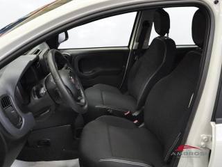 FIAT Panda usata 9