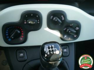 FIAT Panda usata, con Monitoraggio pressione pneumatici
