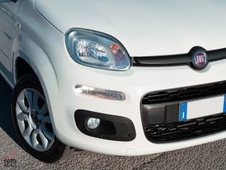 FIAT Panda usata 24