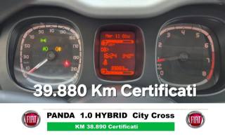 FIAT Panda Cross usata, con Climatizzatore