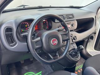 FIAT Panda usata, con Controllo trazione