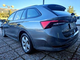 SKODA Octavia usata, con Autoradio