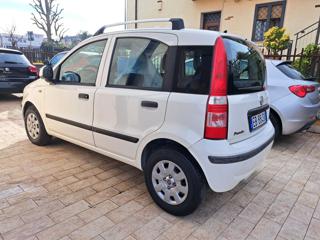 FIAT Panda usata, con Alzacristalli elettrici