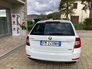 SKODA Octavia usata, con Autoradio