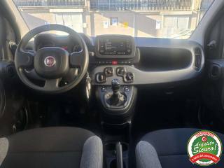 FIAT Panda usata, con Immobilizzatore elettronico