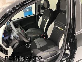 FIAT Panda usata, con Cruise Control