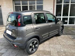 FIAT Panda usata 4