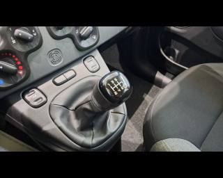 FIAT New Panda usata, con Volante multifunzione