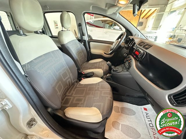 FIAT Panda usata, con Veicolo elaborato
