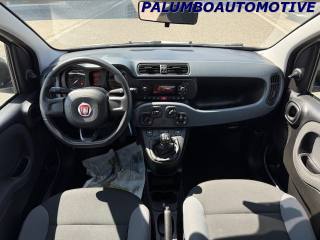 FIAT Panda usata, con Controllo trazione
