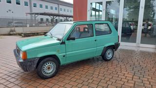 FIAT Panda usata 1