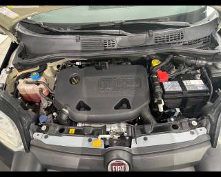 FIAT New Panda usata 18