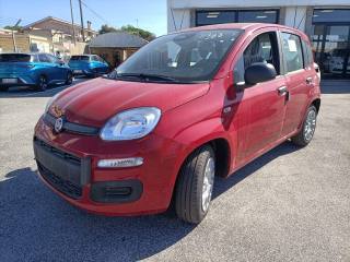 FIAT Panda usata, con Airbag Passeggero