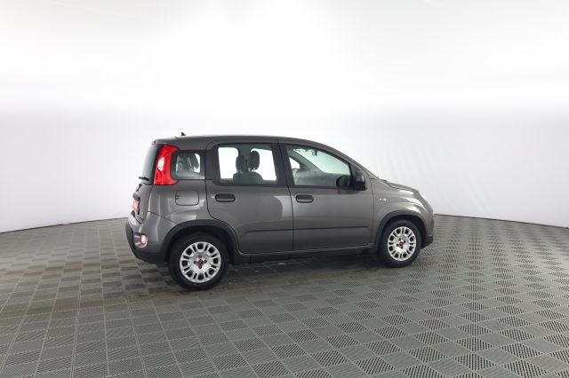 FIAT Panda usata 2