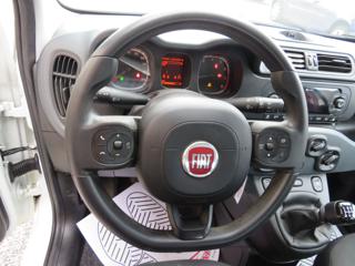 FIAT Panda usata 20