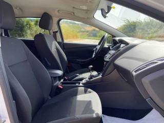 FORD Focus usata, con Fendinebbia