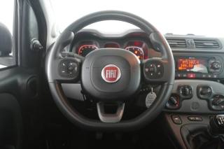 FIAT Panda usata 12