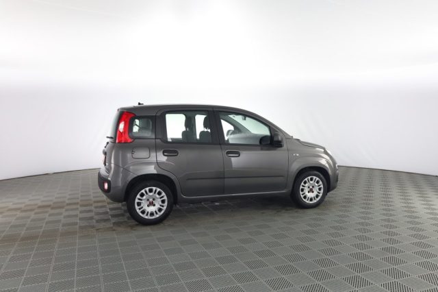 FIAT Panda usata 2