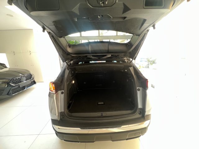 PEUGEOT 3008 usata, con Cruise Control