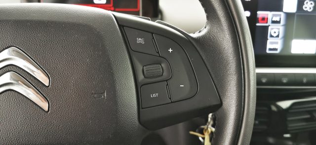 CITROEN C4 Cactus usata 65