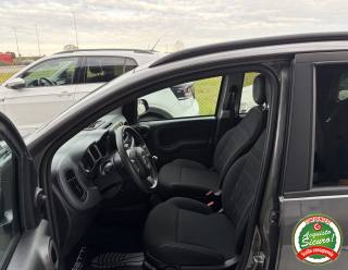 FIAT Panda usata, con ESP