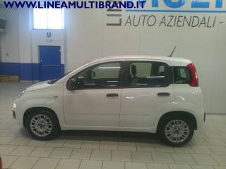 FIAT Panda usata, con Climatizzatore
