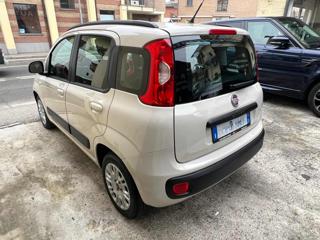 FIAT Panda usata, con Airbag testa