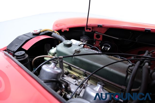AUSTIN Healey usata 57