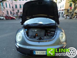 VOLKSWAGEN New Beetle usata 38