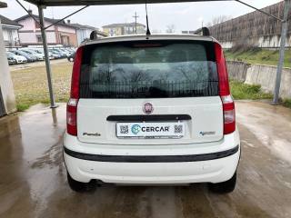 FIAT Panda usata, con Boardcomputer