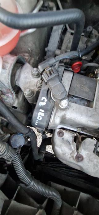 FIAT Panda usata, con Fendinebbia