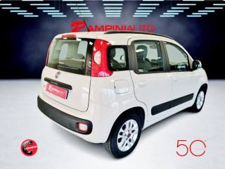 FIAT Panda usata 7