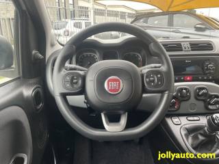 FIAT Panda usata, con Servosterzo