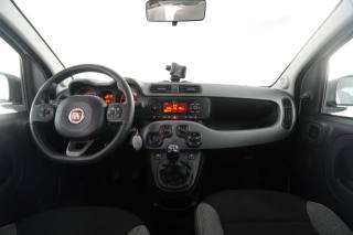 FIAT Panda usata 10