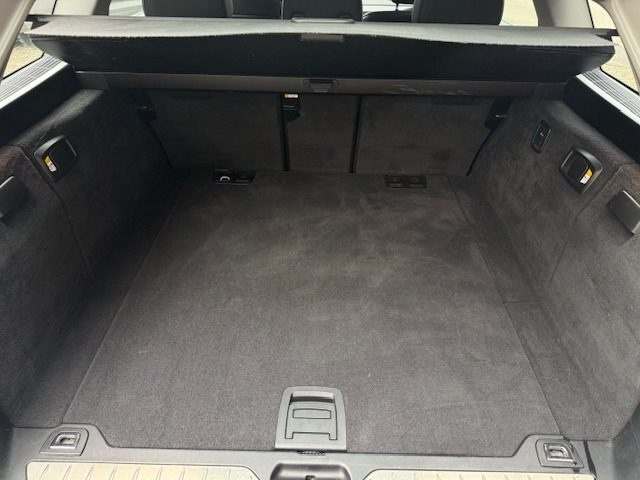 BMW 520 usata, con Fendinebbia