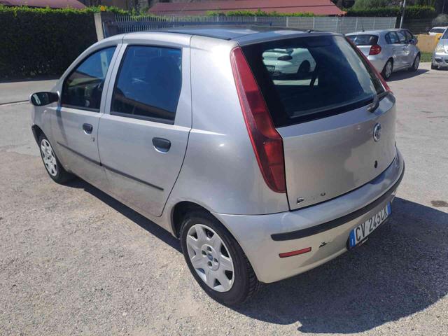 FIAT Punto usata 17