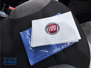 FIAT Panda usata 29