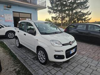 FIAT Panda usata, con Climatizzatore