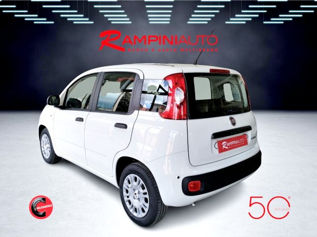 FIAT Panda usata 6