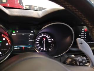ALFA ROMEO Stelvio usata 28