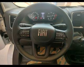 FIAT Ducato usata 13