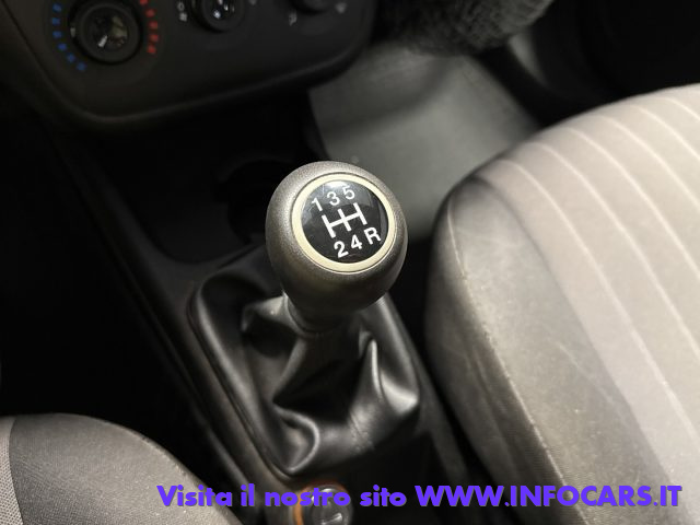 FIAT Punto usata, con Bracciolo