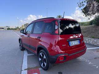 FIAT Panda Cross usata 46