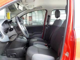 FIAT Panda usata, con Chiusura centralizzata telecomandata
