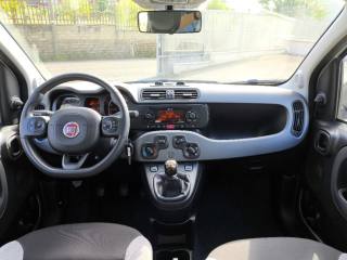 FIAT Panda usata 5