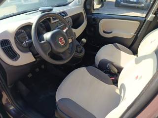 FIAT Panda usata 7