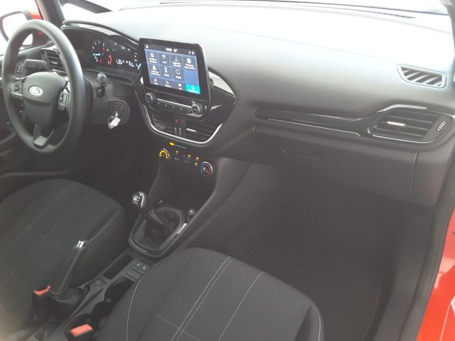 FORD Fiesta usata, con Fendinebbia