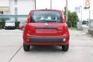 FIAT Panda usata, con Antifurto