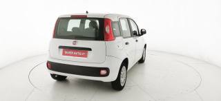 FIAT Panda usata, con Controllo trazione