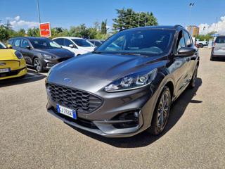 FORD Kuga 1.5 EcoBlue 120 CV 2WD ST-Line